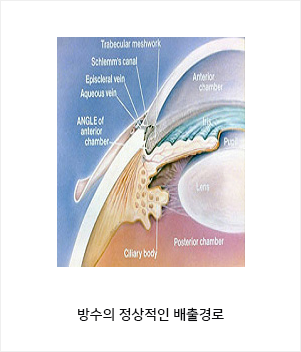 방수의 정상적인 배출경로